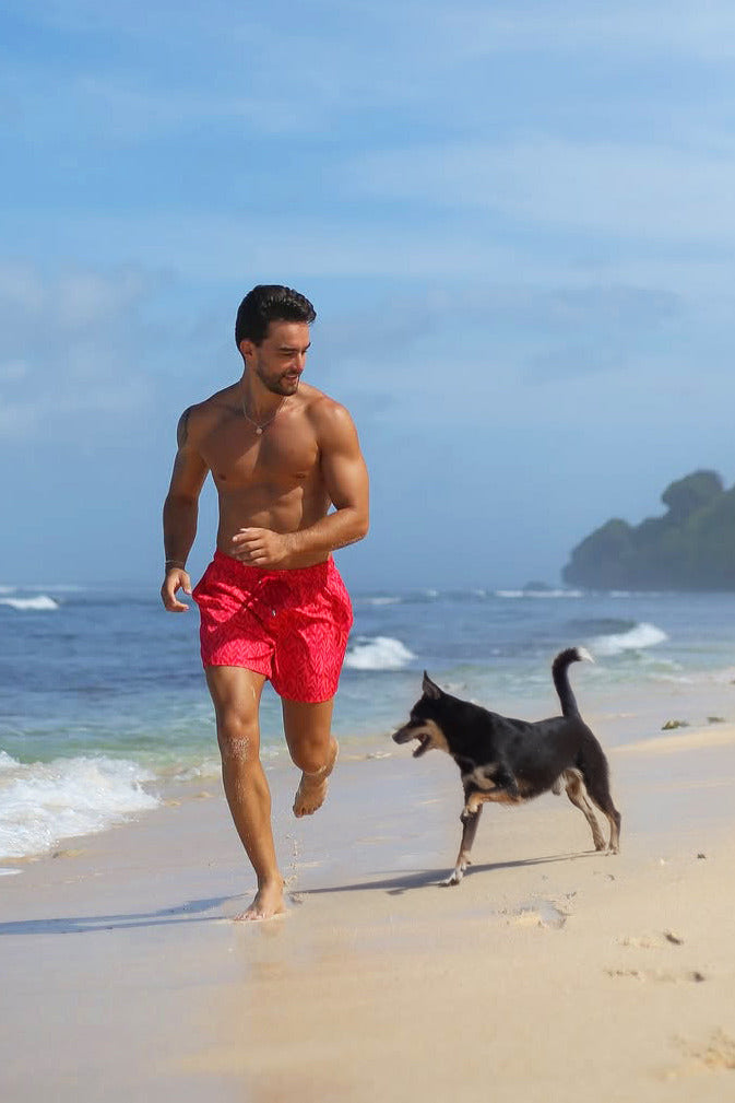 Man in red shorts running on a beach with a dog