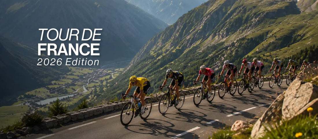 Experience the Tour Like an Insider
