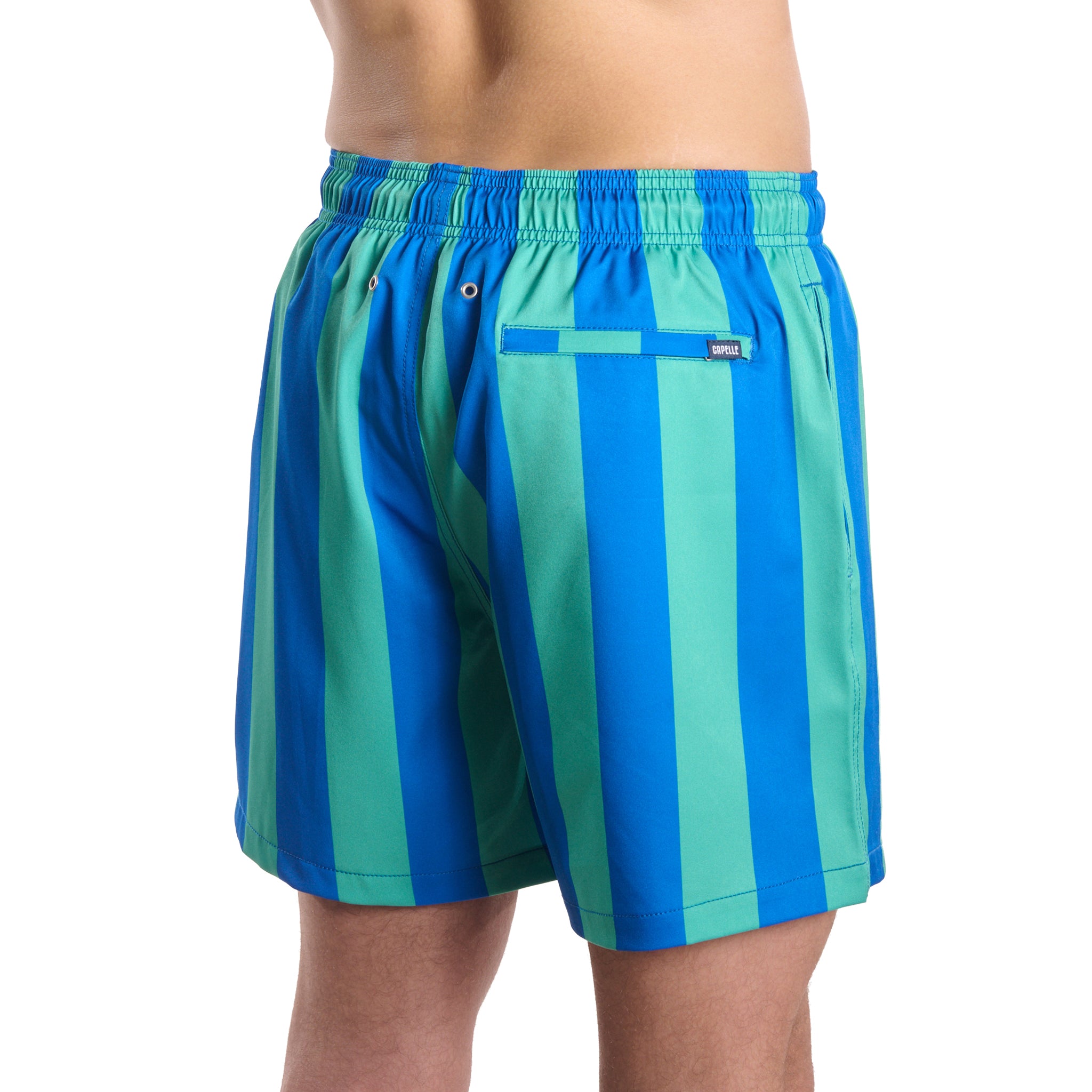 Coastal Cabana, Ocean and Palm men's hybrid swim short in a blue and green cabana stripe, back view