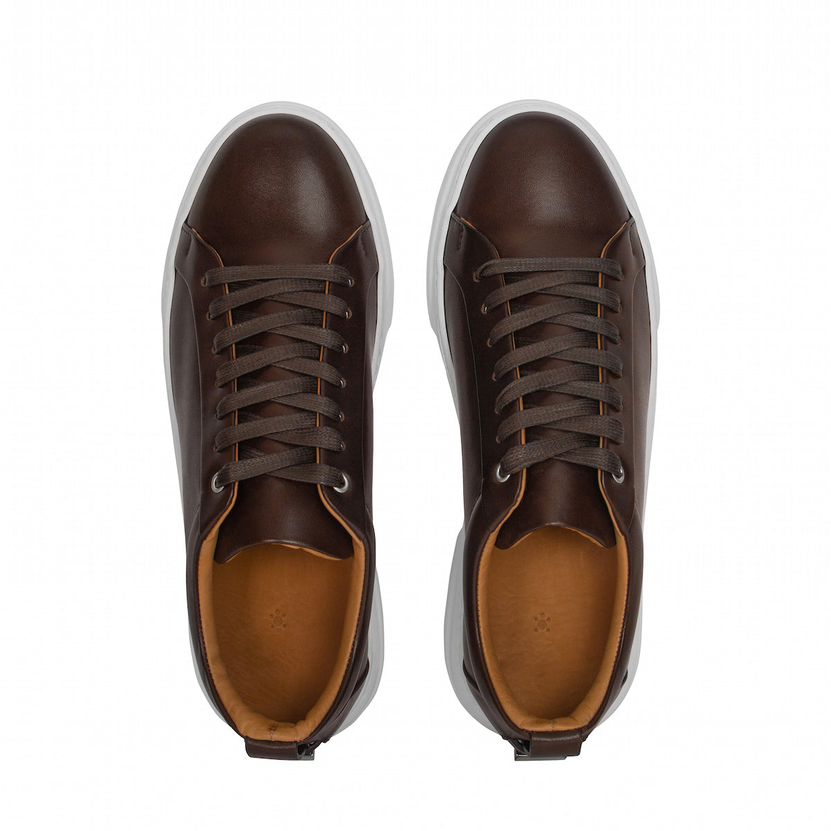 MOCALMO Men's Figaro Leather Sneaker in Espresso, view 7