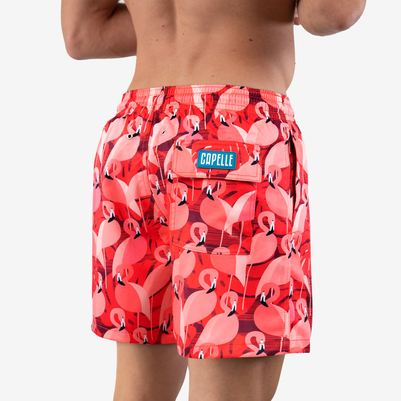 Flamingo-swim-trunks
