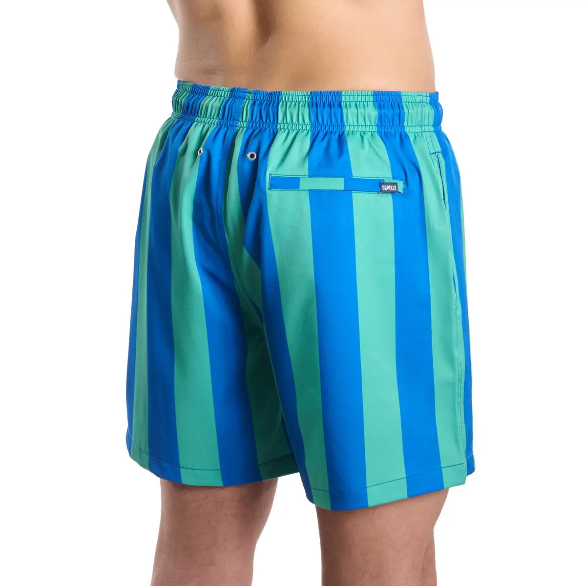 Coastal Cabana, Ocean and Palm men's hybrid swim short in a blue and green cabana stripe, back view