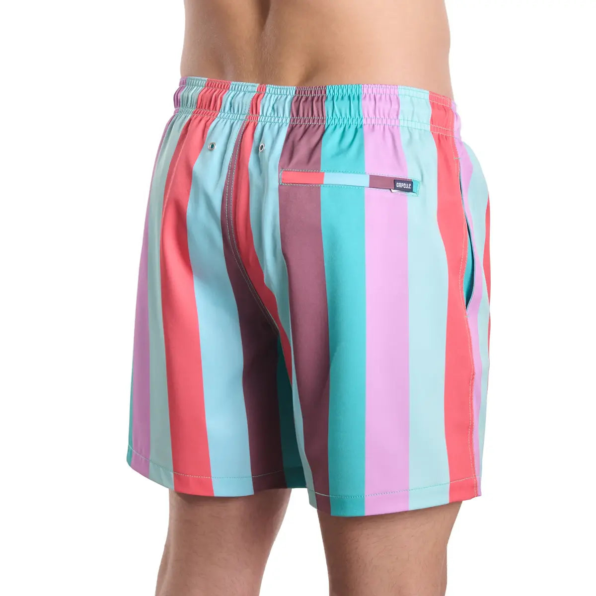 Coastal Cabana, Zest men's hybrid swim short in a multicolor cabana stripe, back view