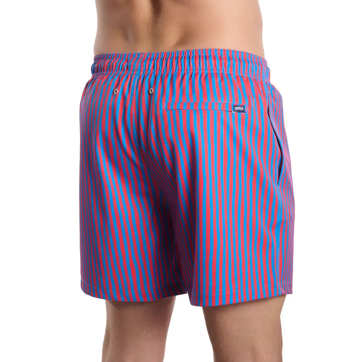 Marina Pinstripe, Blaze and Tide men's hybrid swim short in a purple and coral pinstripe, back view