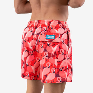 length:classic pink flamingos hybrid short studio back