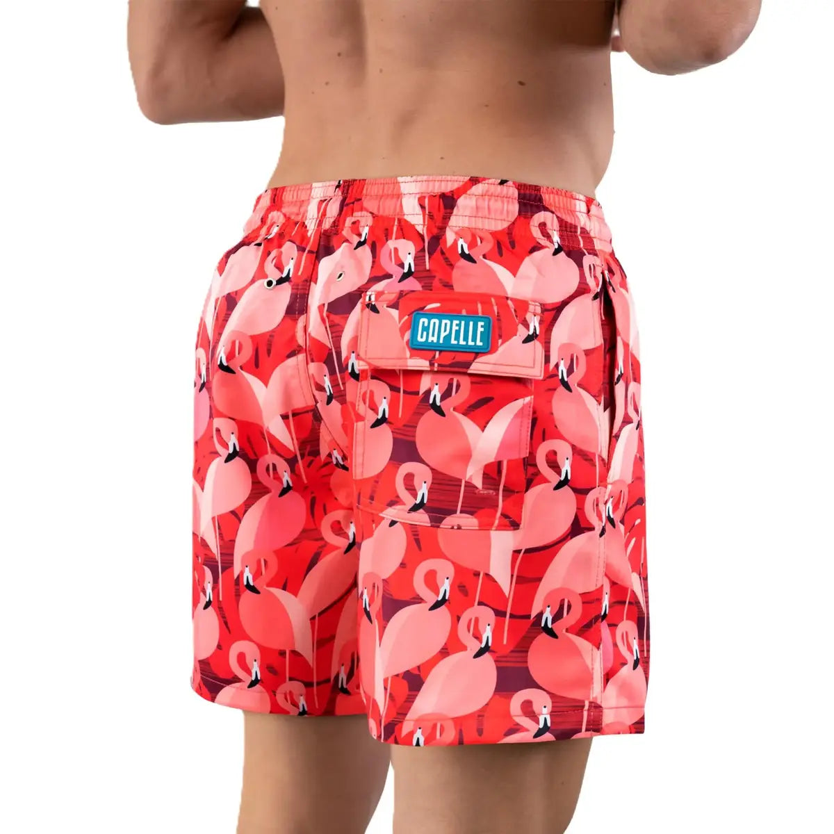 Pink Flamingo men's hybrid swim short in a pink and red flamingo print, back view