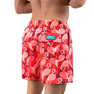 length:classic pink flamingo back