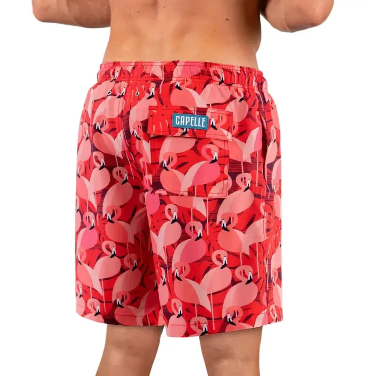 length:long pink flamingo back