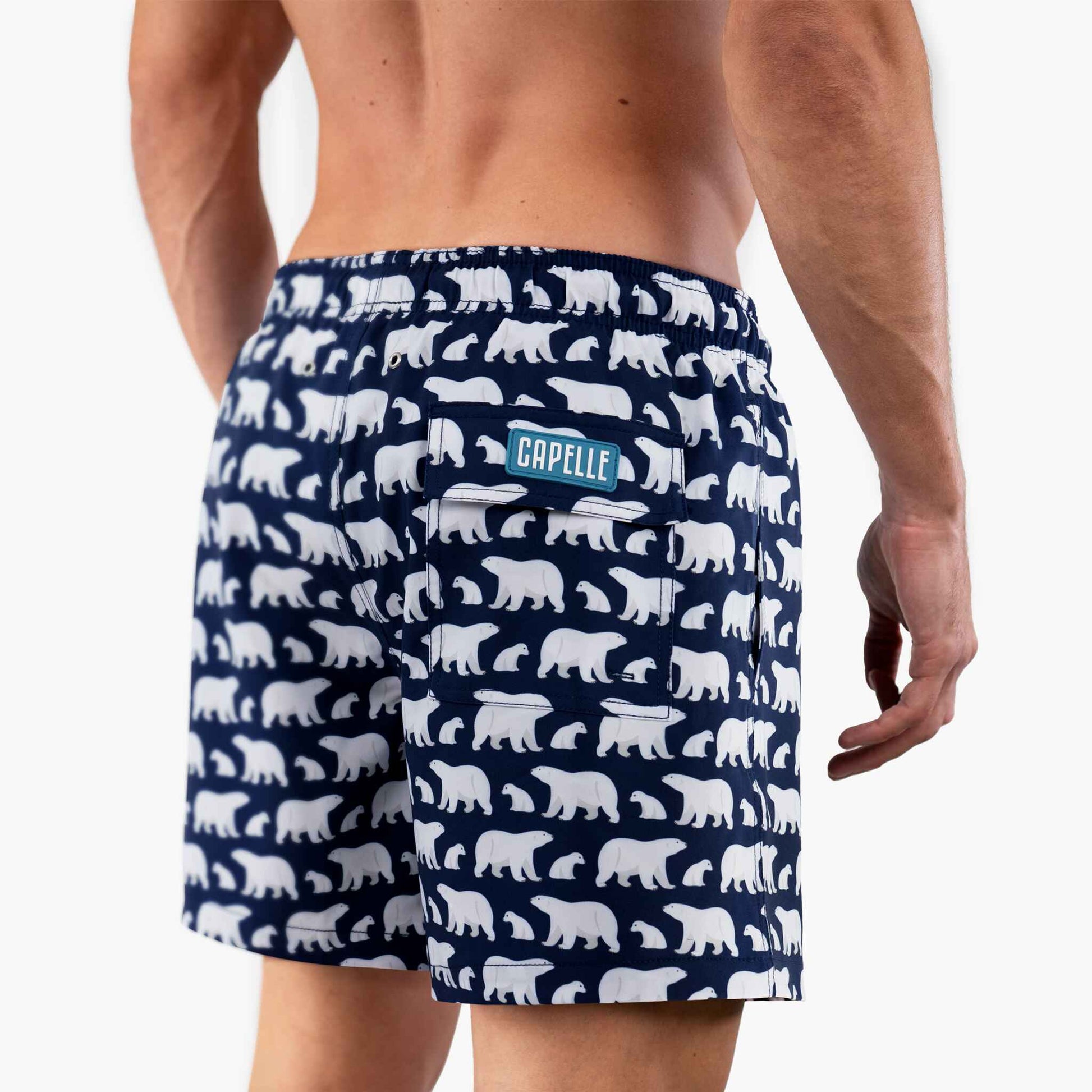 length:classic arctic bears hybrid short studio back