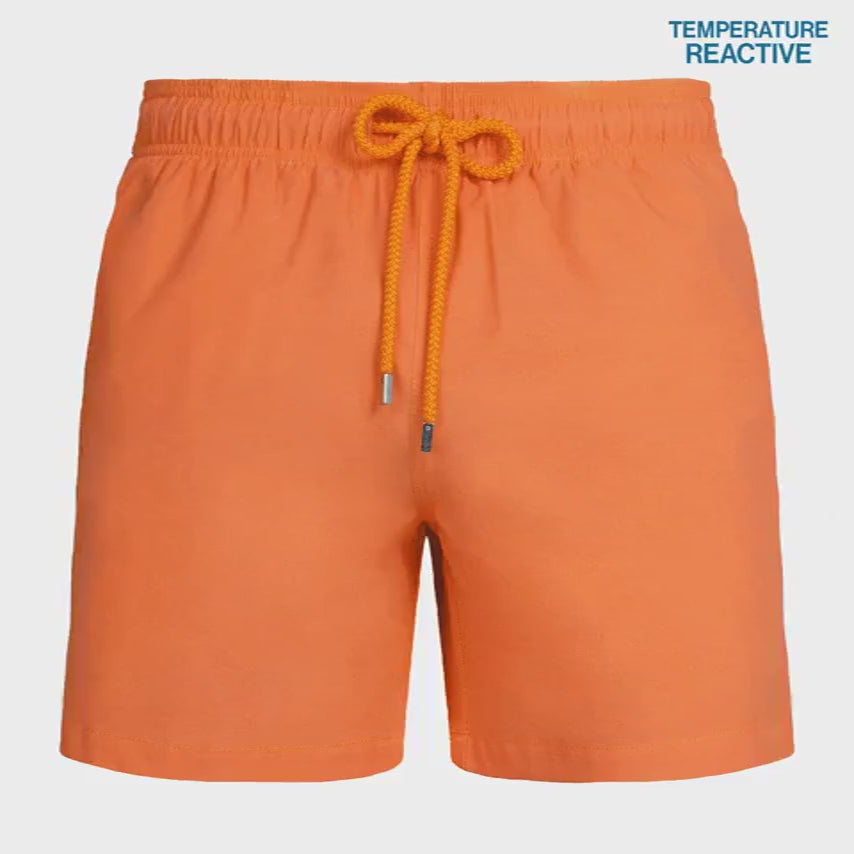 length:all switch yellow orange animated