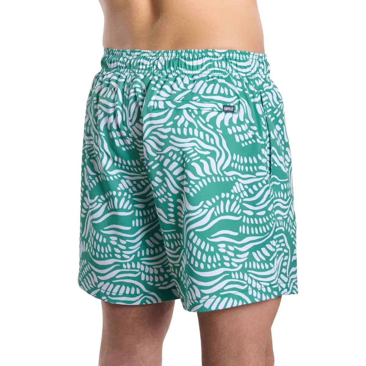 Salt Spray, Palm and Surf men's hybrid swim short in jade green with a white coral reef print, back view