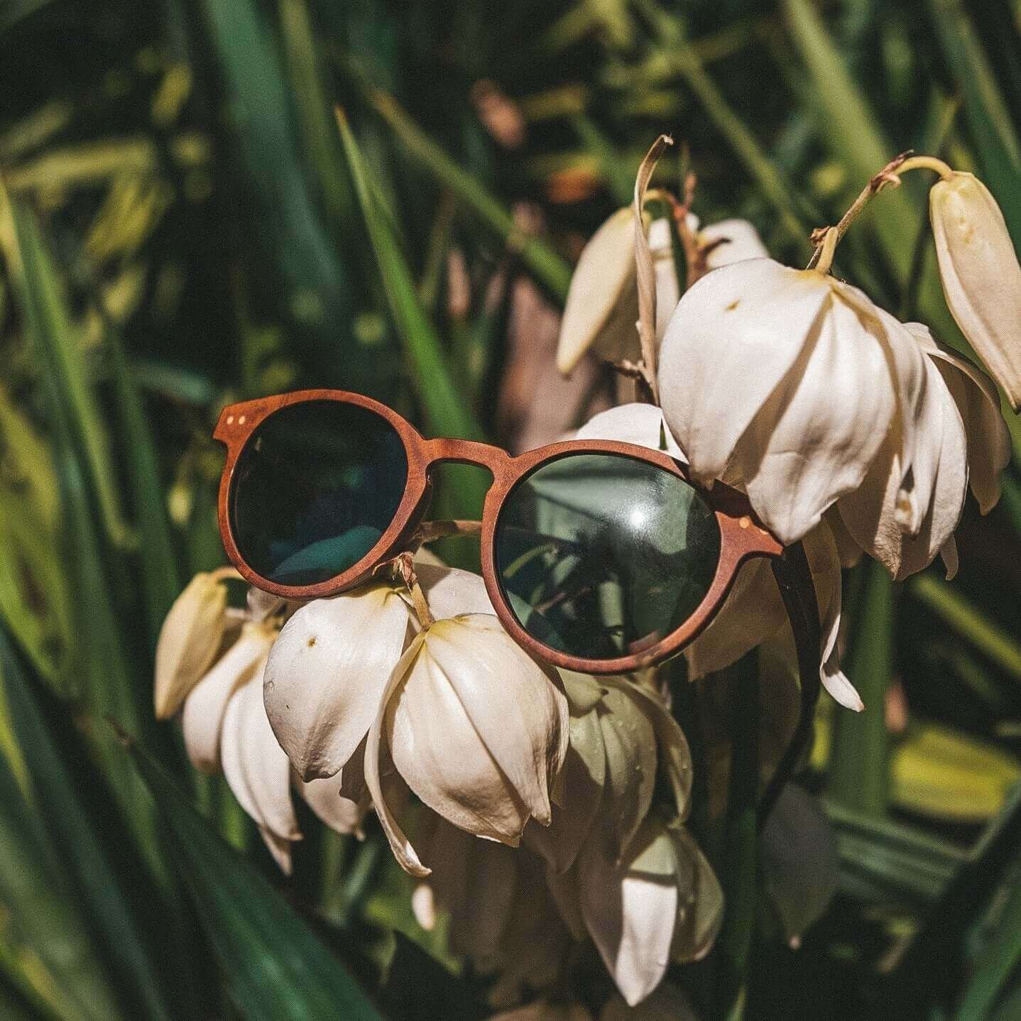 JOPLINS Stinson polarized wooden sunglasses, image 7 of 8